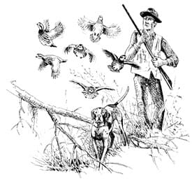 Quail hunter