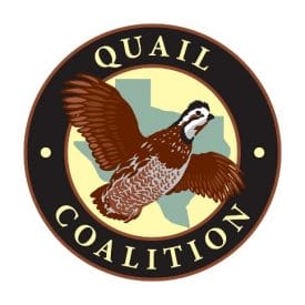 Quail Coalition logo