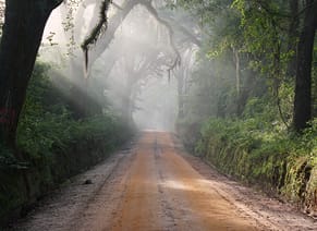 Conservation