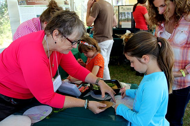 Birdsong Nature Center kids activity