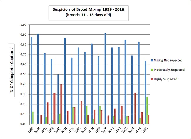 Brood Mixing Graph