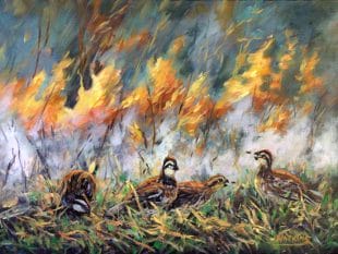 Painting - Burning Bounty by Peggy Watkins