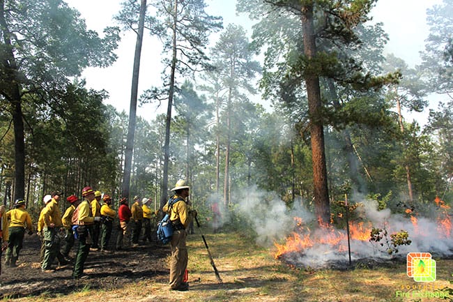 Rx Burn at Pebble Hill