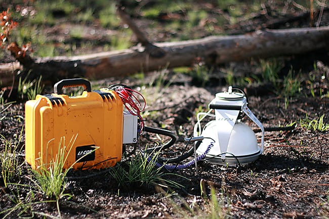 LICOR soil respiration chamber
