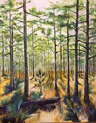 Pines by Jean Hancock