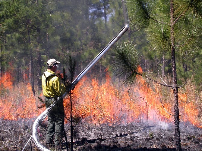 Measuring Smoke