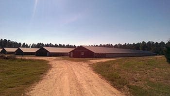 Poultry Houses