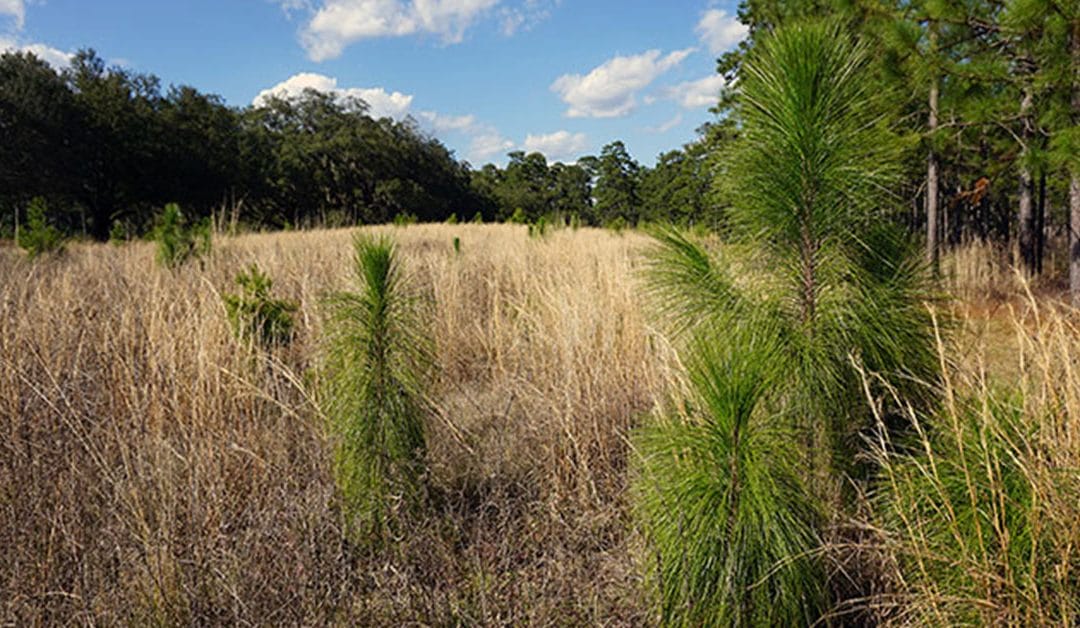 Conservation Incentive Program Luncheon