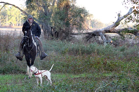Pointer & Handler_Continental Field Trial