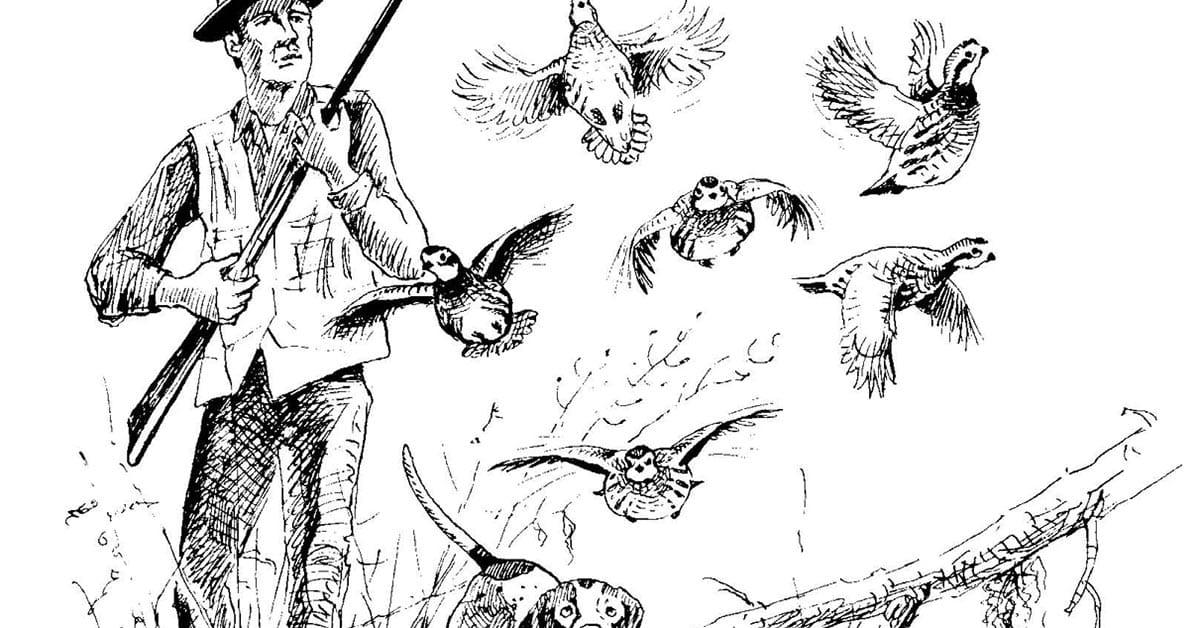 Tall Timbers Field Days Just Weeks Away