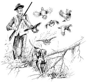 Quail Hunter