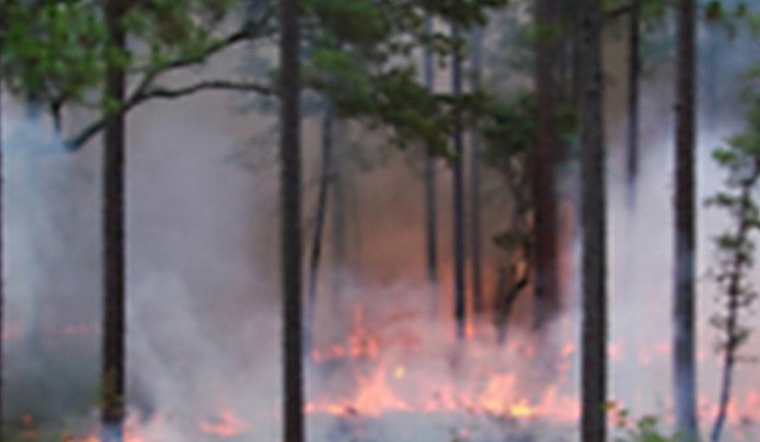 RxScience: Collaborative Research to Advance Effective Prescribed Fire Application