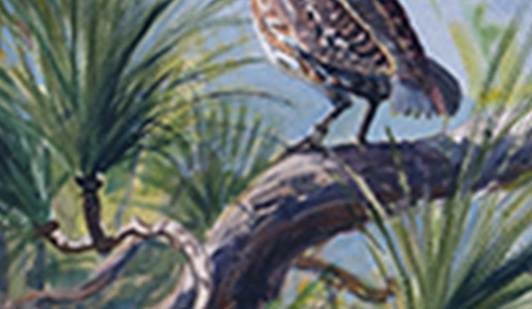 Tall Timbers’ 20th Annual Kate Ireland Dinner & Auction