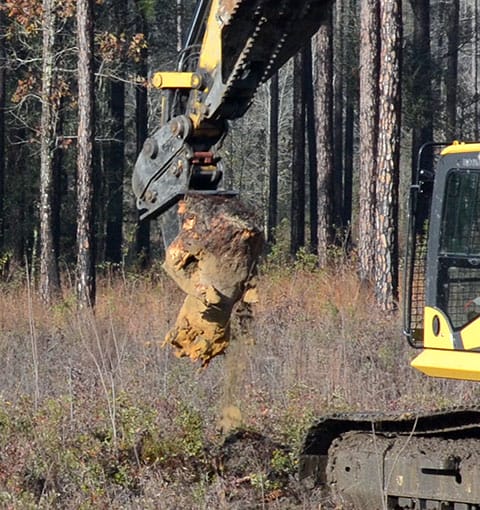 Stump removal-detail