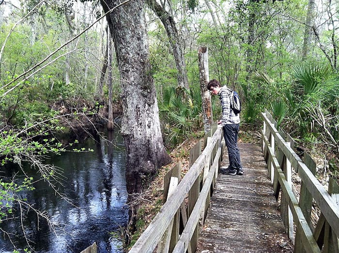 Hiker on Aucilla Sinks trail 