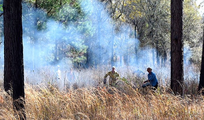 Science teachers at Tall Timbers 