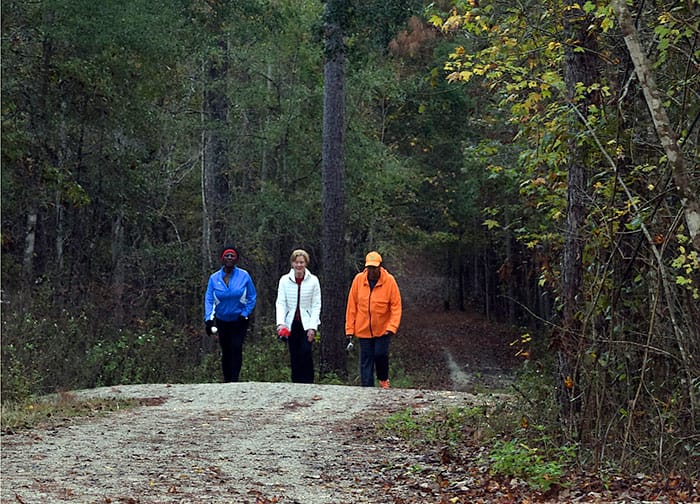 Morning hike at Miccosukee Greenway