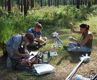 Studying Samples