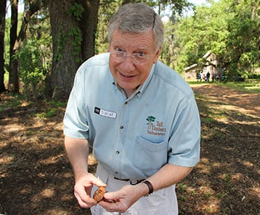 Staff Showing a Pine Nut