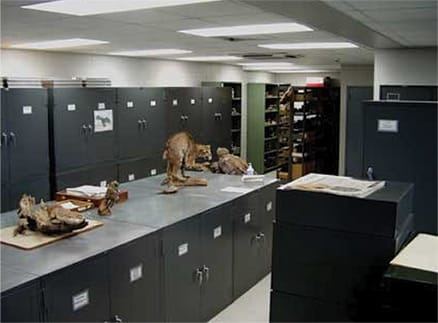 file room
