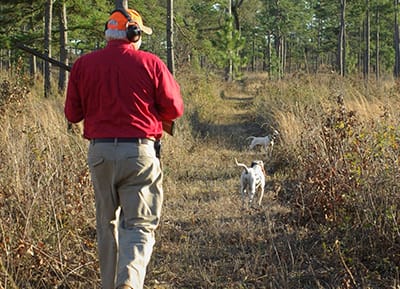 Bird Hunting