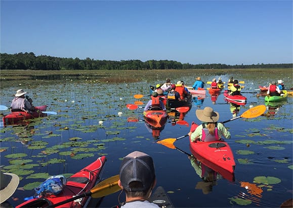 Group Kayaking
