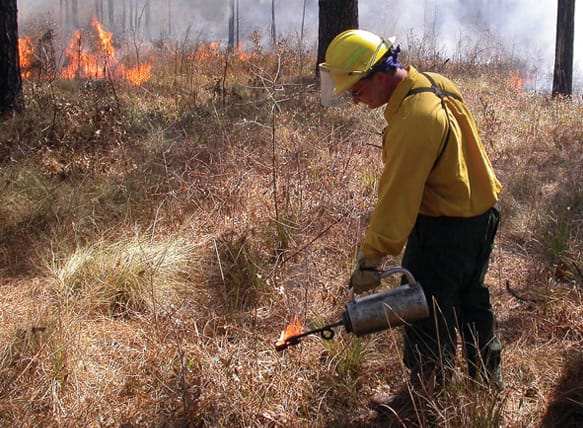 Prescribed Burning