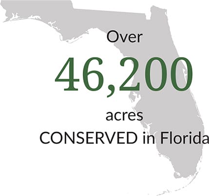 46,200 Acres Conserved in Florida