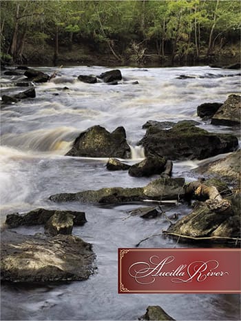 Aucilla River