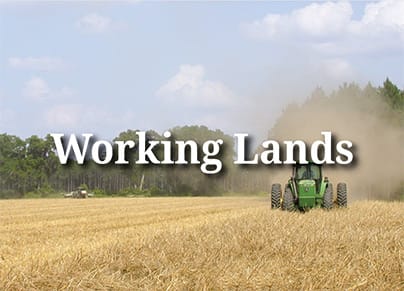 working lands