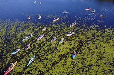 Kayaking Areal