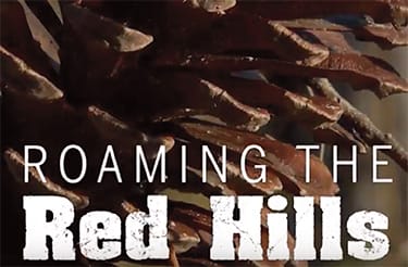 Roaming the Red Hills
