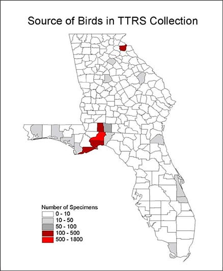 Source of Birds Map