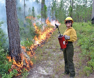 Fire Ecology