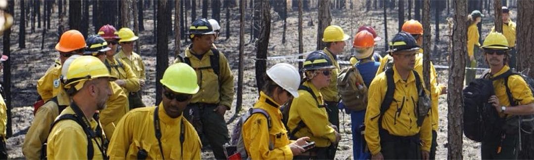 Fire Ecologists
