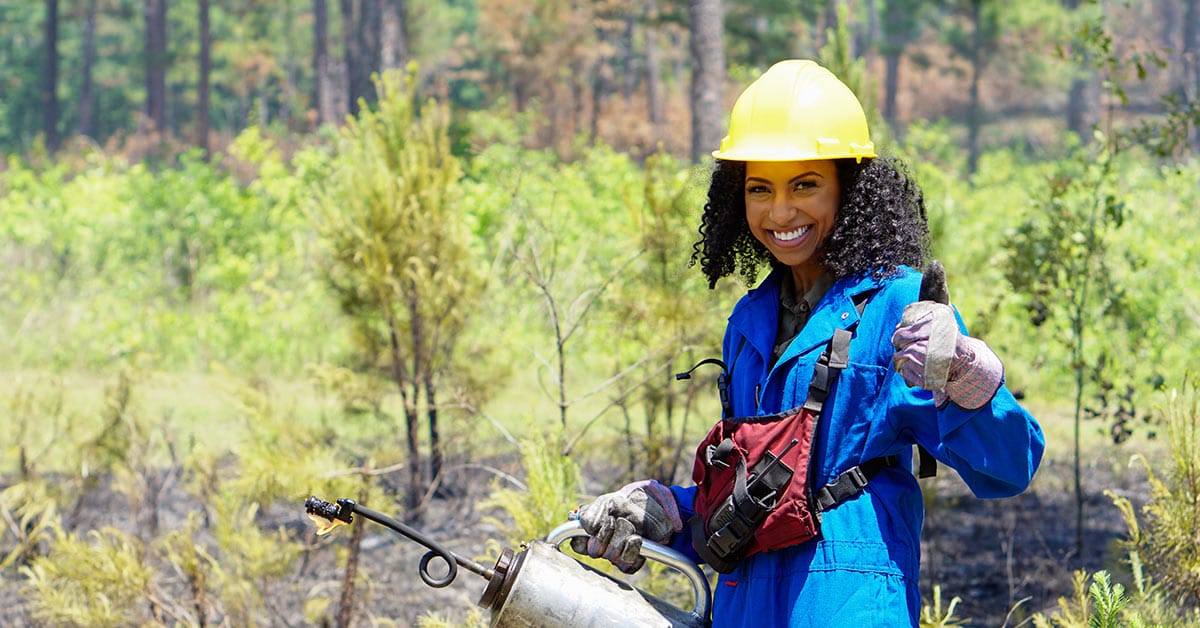 New education project provides virtual forest tours
