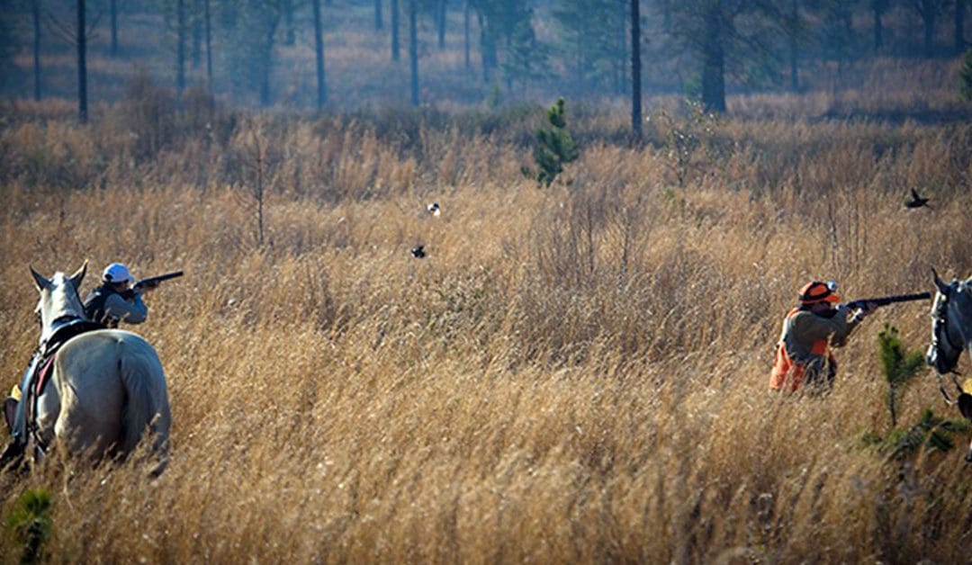 147 million additional reasons to love the Red Hills!