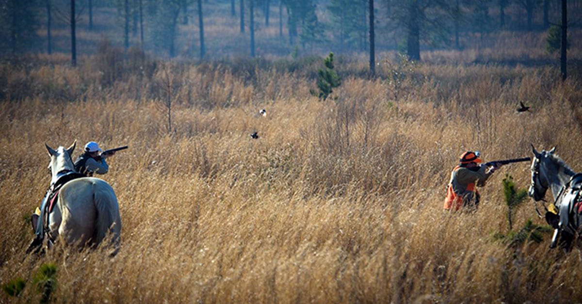 147 million additional reasons to love the Red Hills!