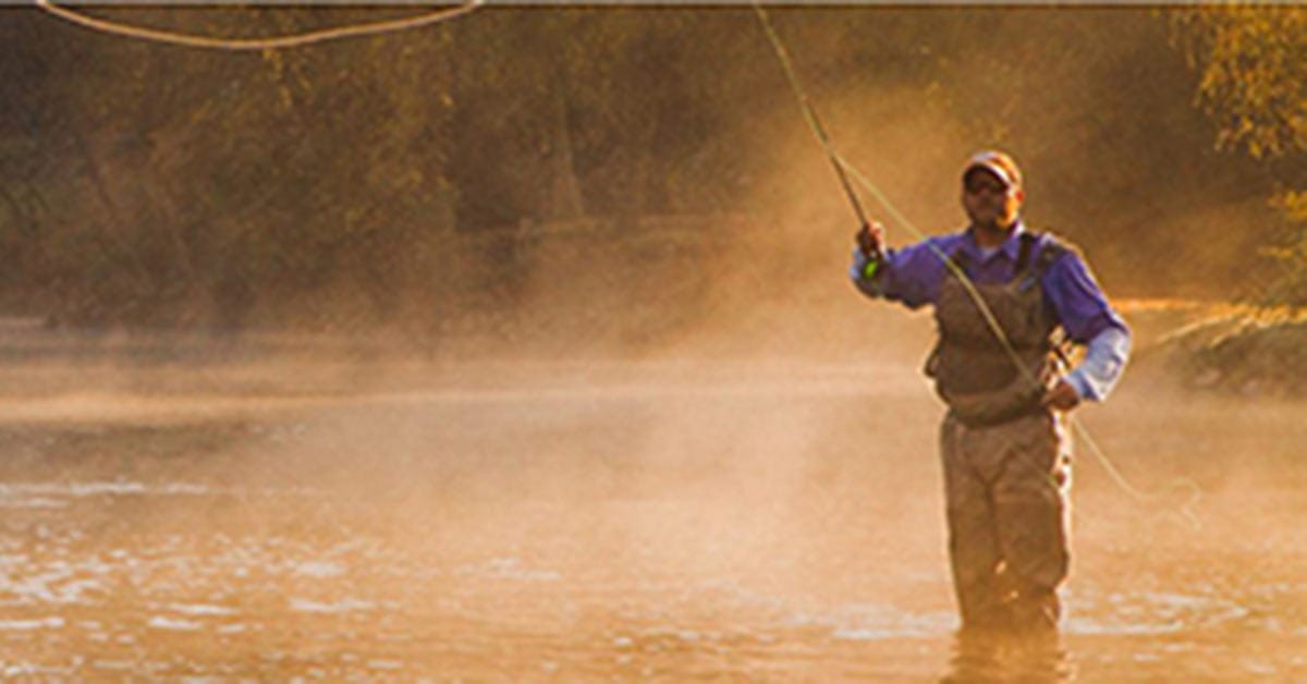 Vote “Yes” for Georgia Outdoor Stewardship Amendment