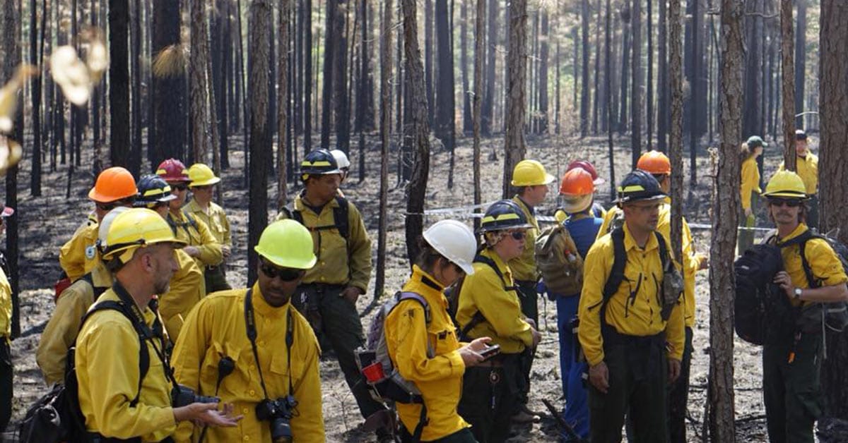 Tall Timbers hosts the Prescribed Fire Science Consortium