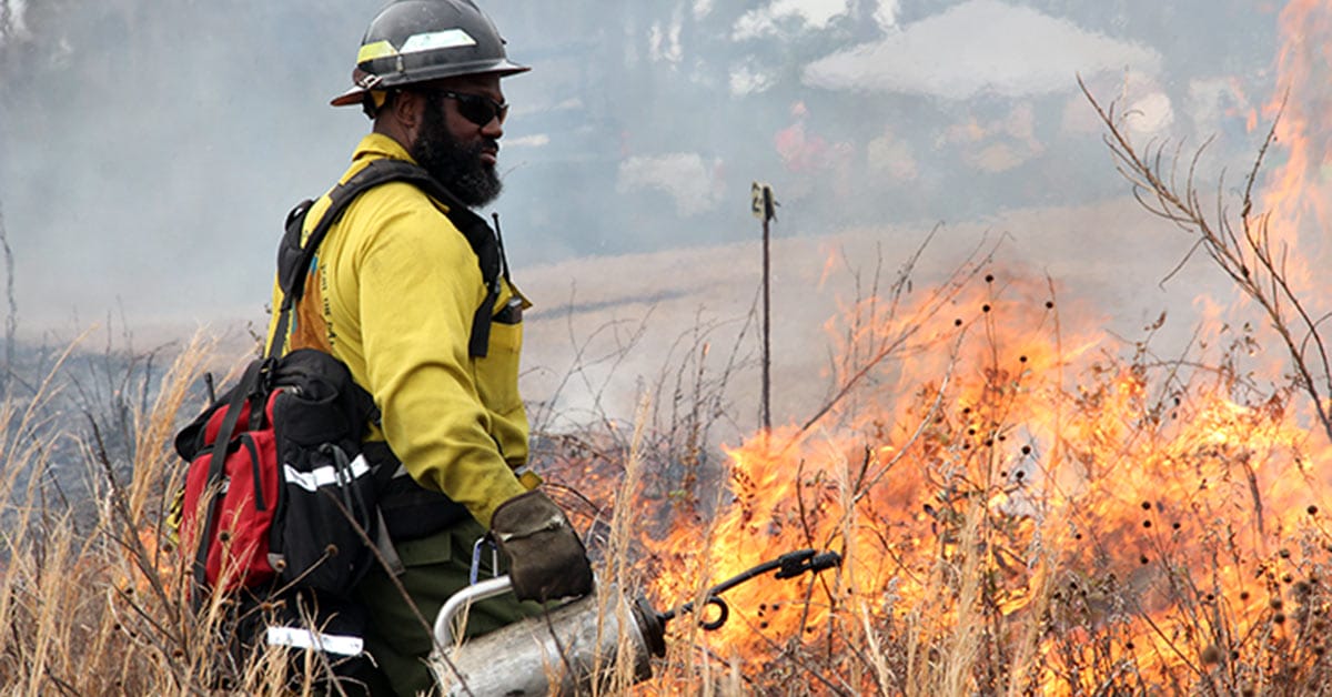 Red Hills Fire Festival 2018 draws 950 attendees