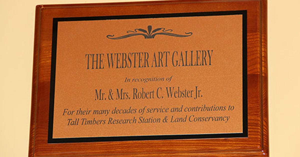 The Webster Art Gallery
