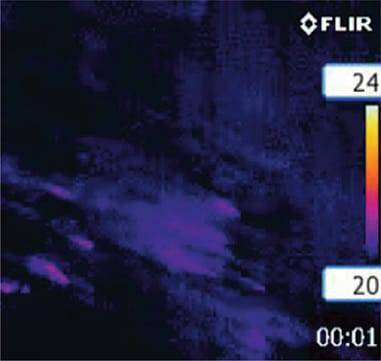 Flir