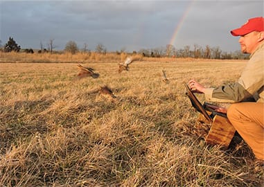 Translocation release in Maryland