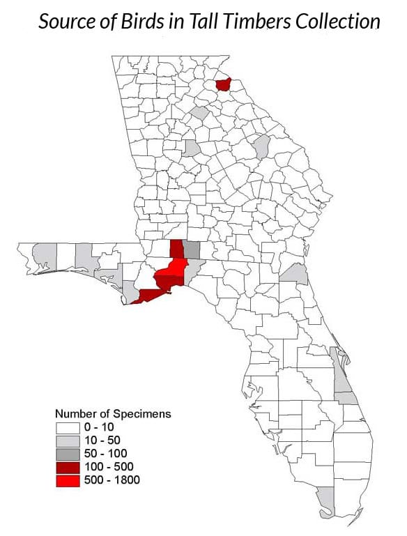 Source of Birds in Tall Timbers Map