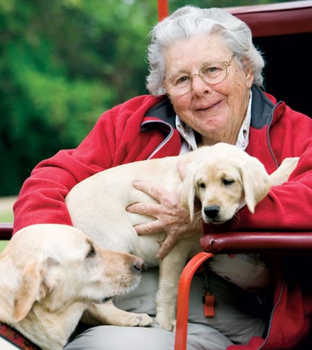 Kate Ireland Memorial