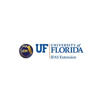 University of Florida Logo