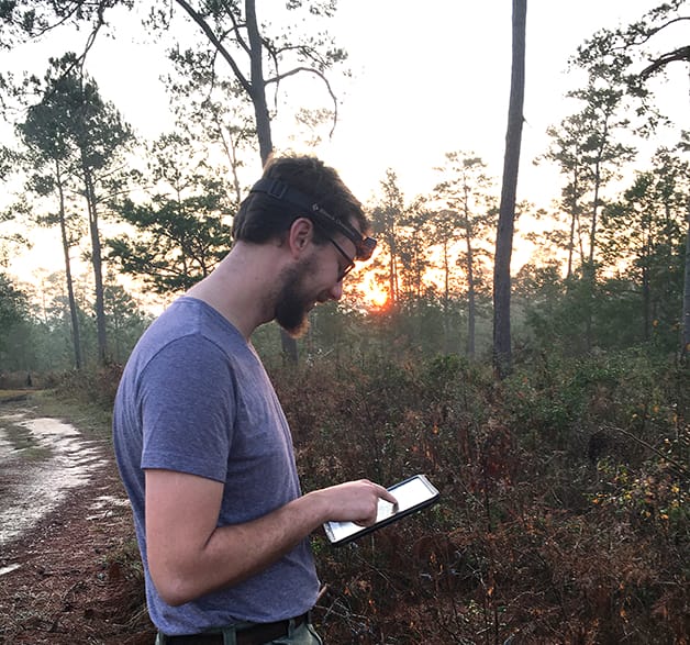 Data collection during an early morning covey call
