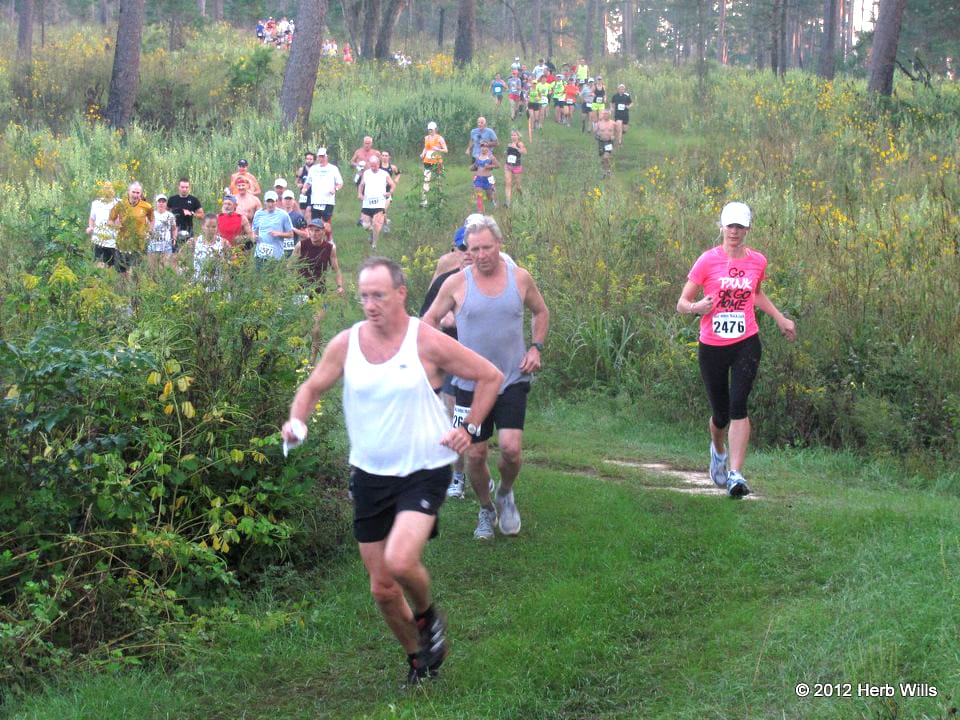 Pine Run Tall Timbers