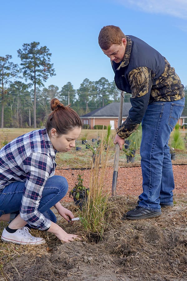 Native grasses are an important part of the site and will provide a fuel source for teaching with prescribed fire.